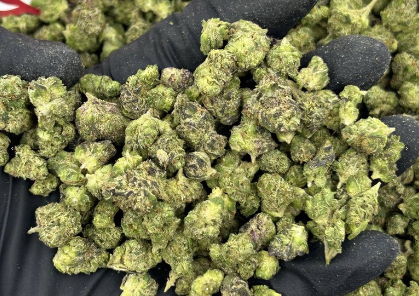 Freeze Icy Pop Smalls